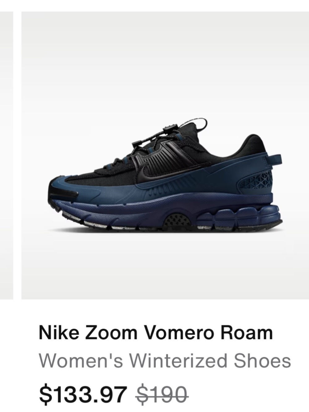 Nike Zoom Vomero Roam
Women's Winterized Shoes